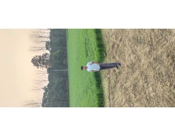 img1