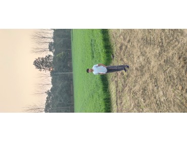 my_profile