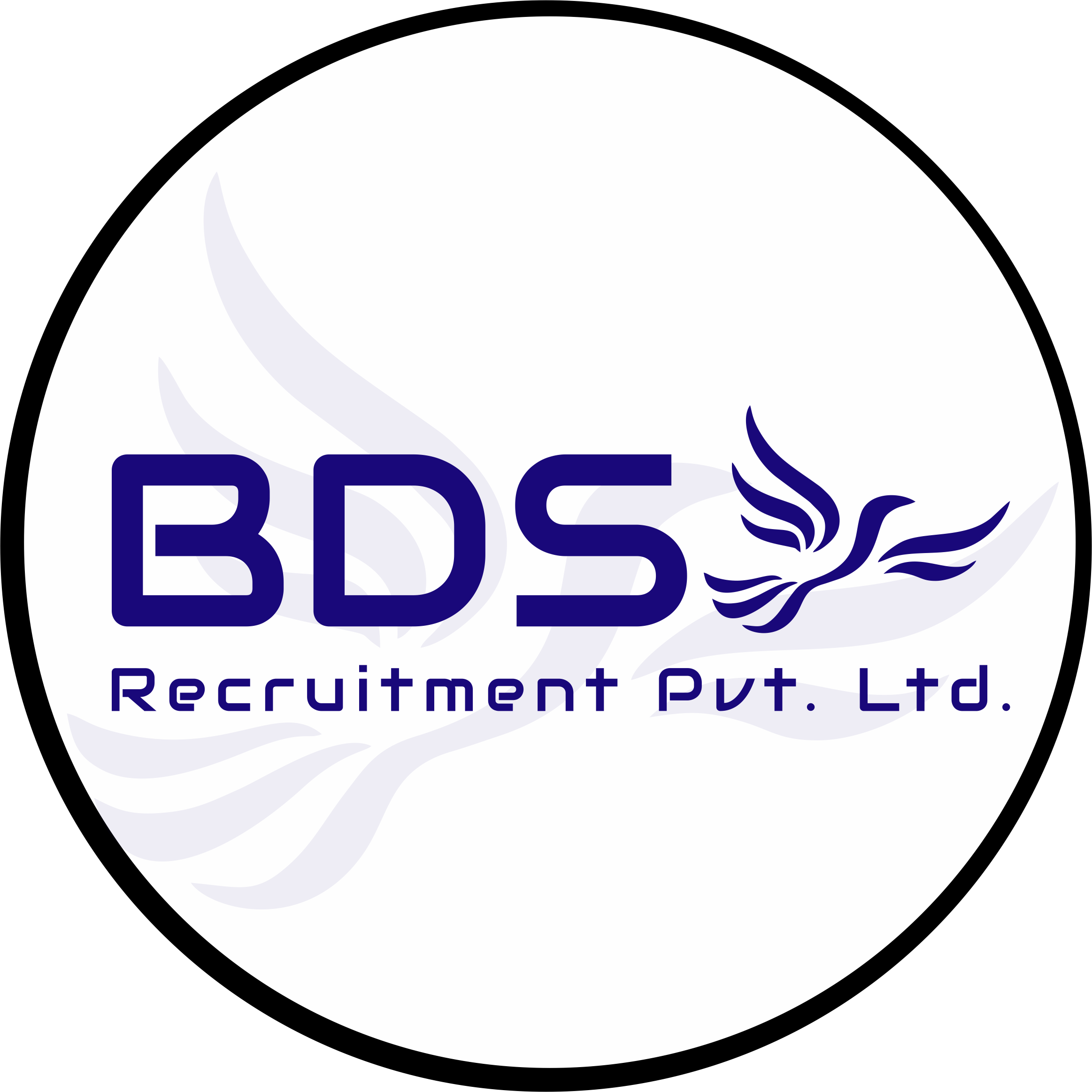 BDS Recruitment Private Limited